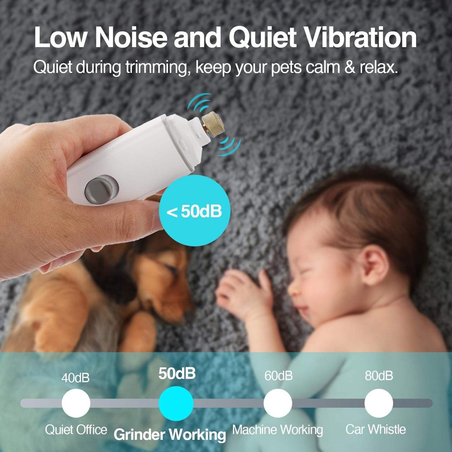 Salon de toilettage pour animaux - Lime à ongles pour animaux