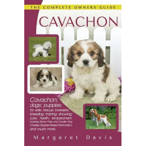 Cavachon