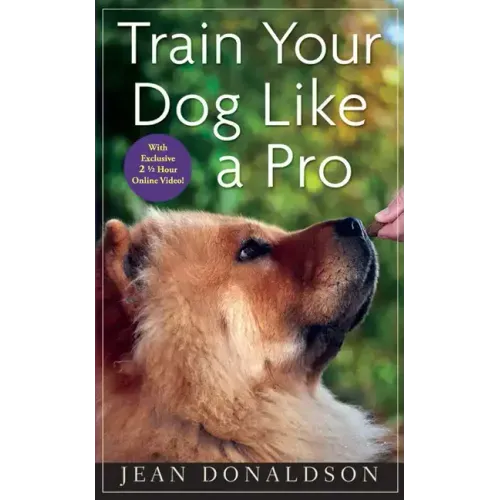 Train Your Dog Like a Pro