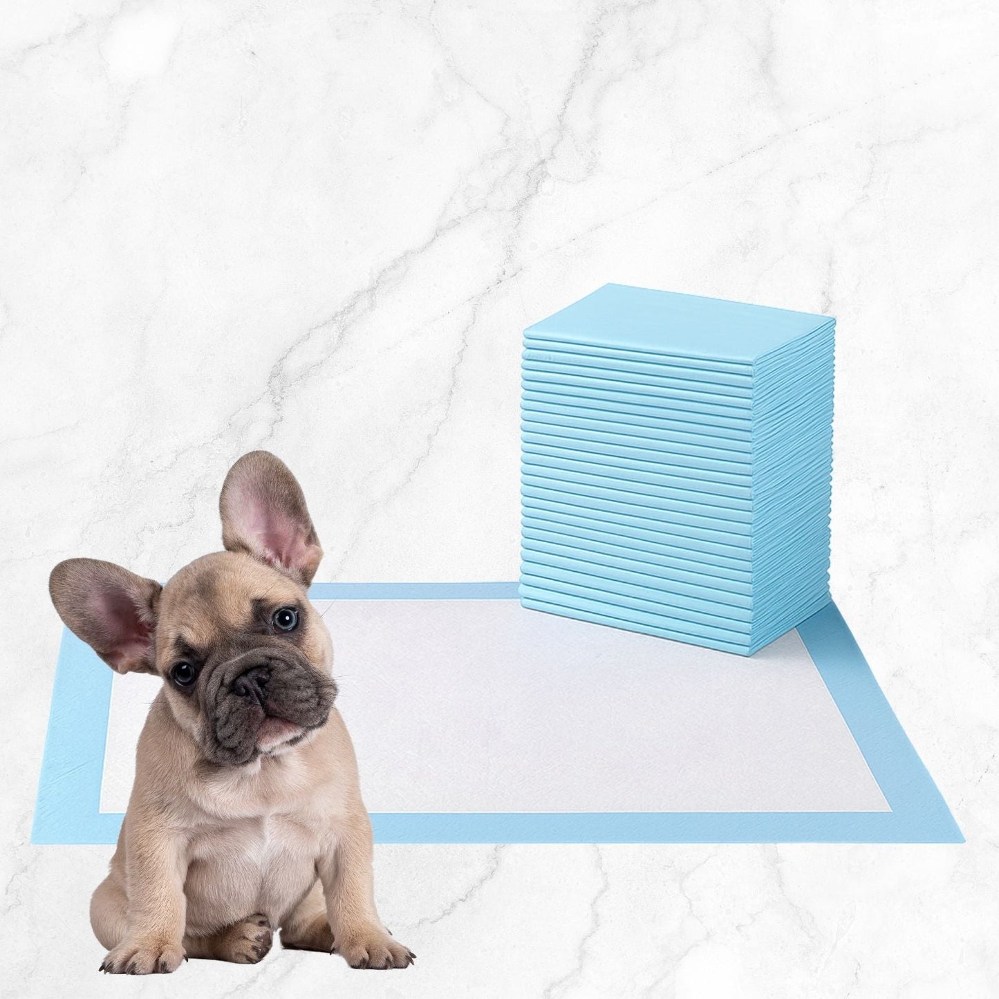 Almohadillas absorbentes para cachorros | Almohadillas absorbentes para orina