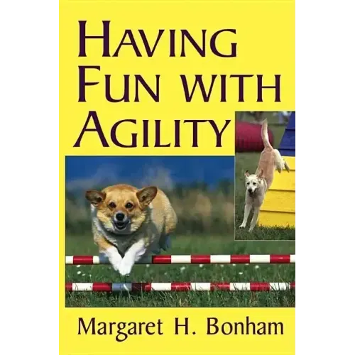 Having Fun with Agility