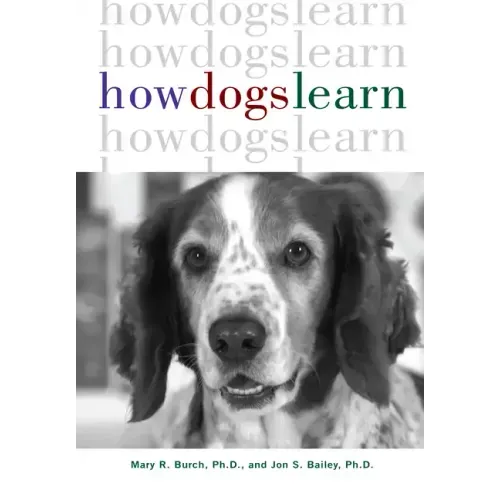How Dogs Learn