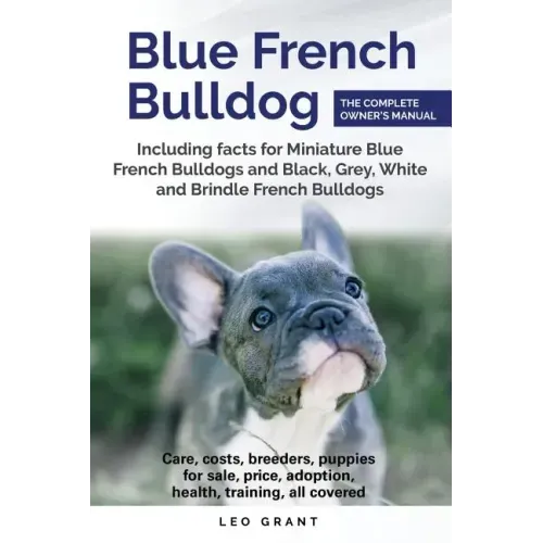Blue French Bulldog: Care, costs, price, adoption, health, training and how to find breeders and puppies for sale.