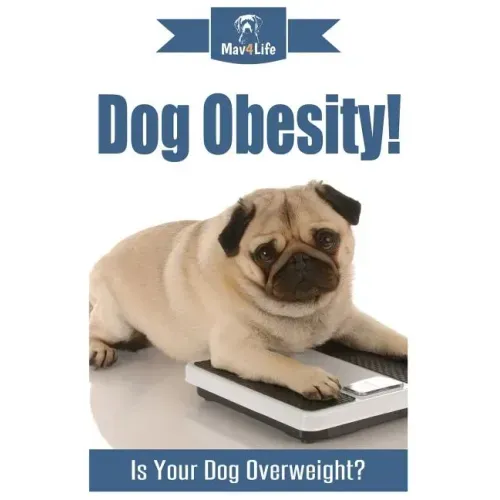 Dog Obesity!: Is Your Dog Overweight?