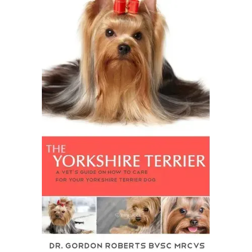 The Yorkshire Terrier: A vet's guide on how to care for your Yorkshire Terrier dog