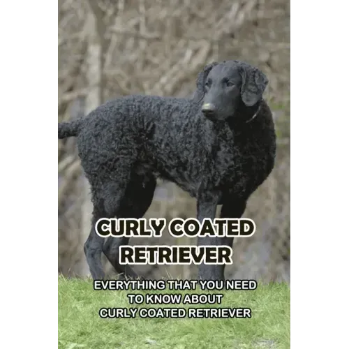 Curly Coated Retriever: Everything That You Need to Know About Curly Coated Retriever: How Well You Know ABout Curly Coated Retriever?