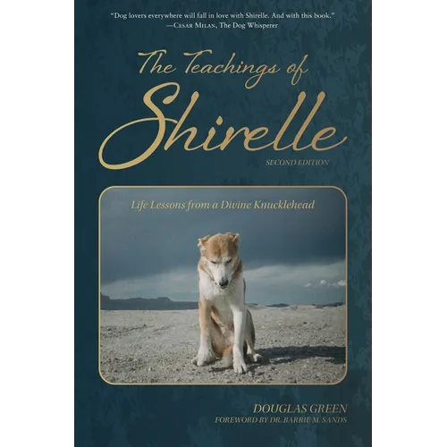 The Teachings of Shirelle: Life Lessons from a Divine Knucklehead