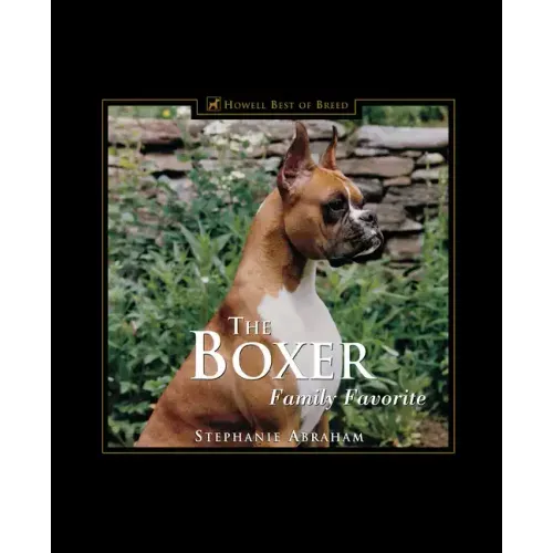 The Boxer: Family Favorite