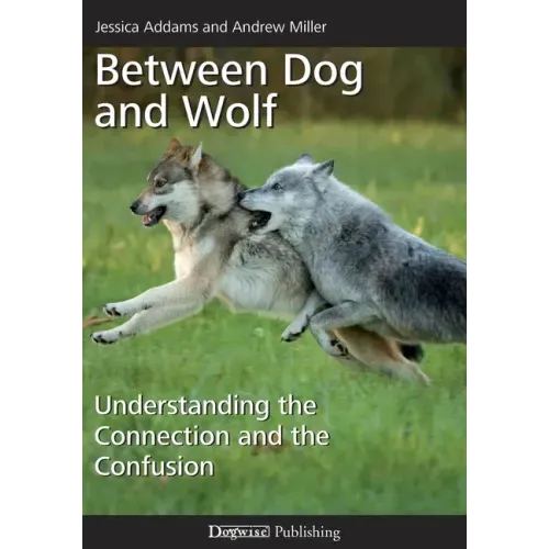 Between Dog and Wolf: Understanding the Connection and the Confusion
