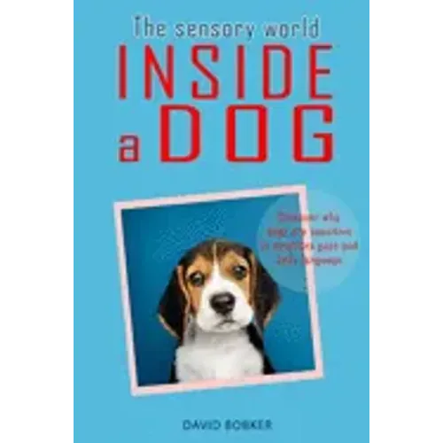 The Sensory World Inside a Dog: Discover why dogs are sensitive to emotions, gaze and body language