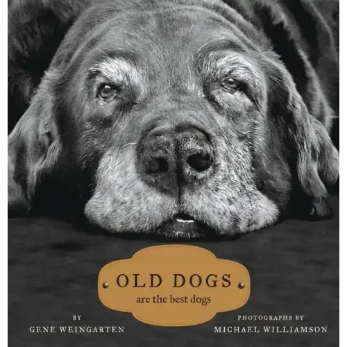 Old Dogs: Are the Best Dogs