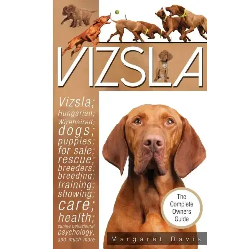 Vizsla