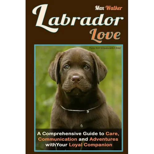 Labrador Love: A Comprehensive Guide to Care, Communication, and Adventures with Your Loyal Companion - From Labrador Retriever Origi