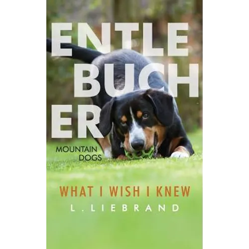 Entlebucher Mountain Dogs - What I Wish I Knew