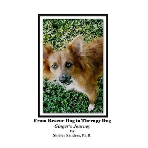 From Rescue Dog To Therapy Dog