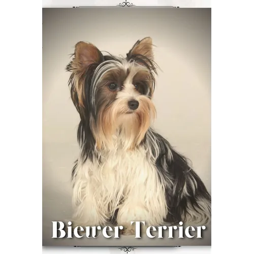 Biewer Terrier: Dog breed overview and guide