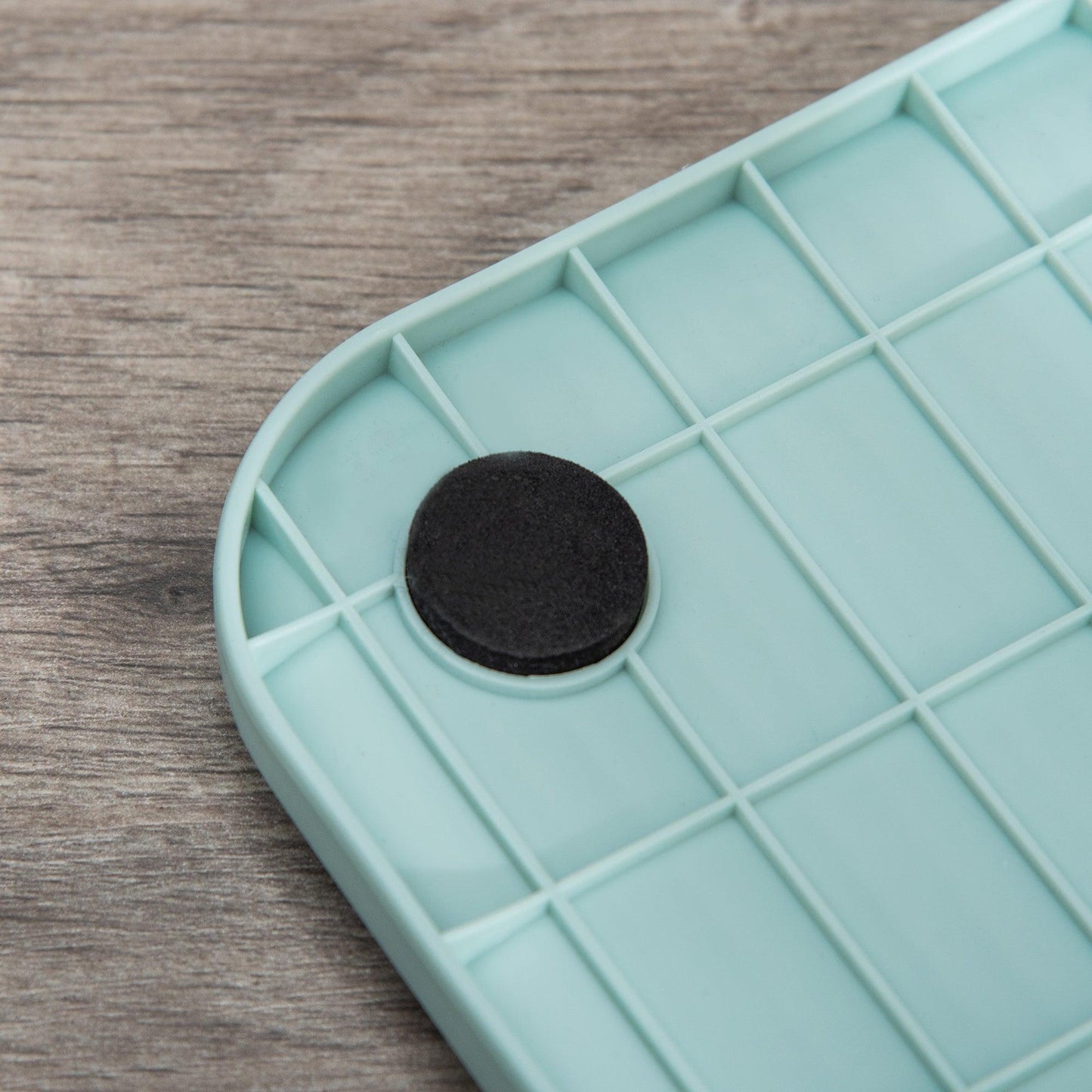 Cat Litter Box With Lid