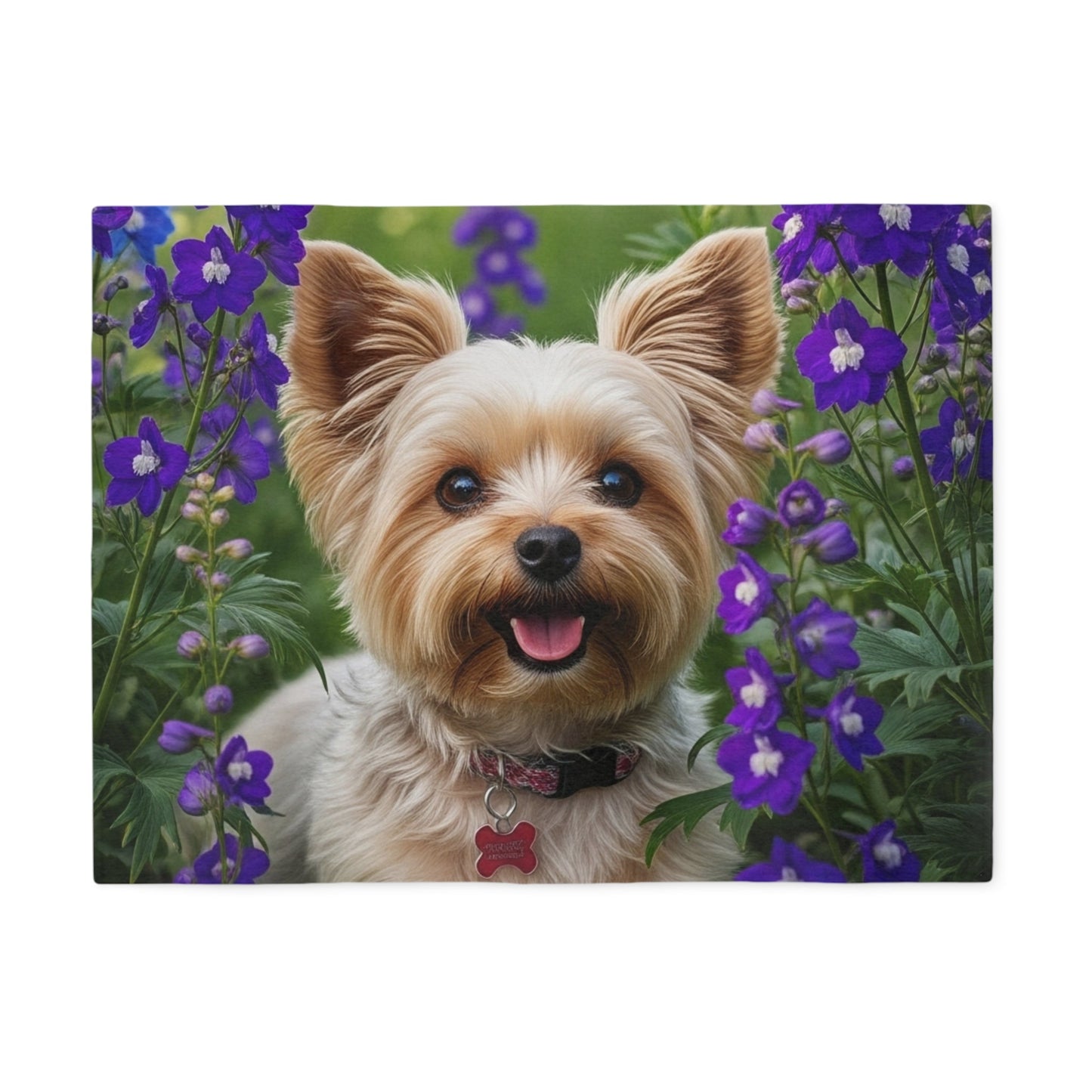 Yorkiepoo Sweatshirt Blanket