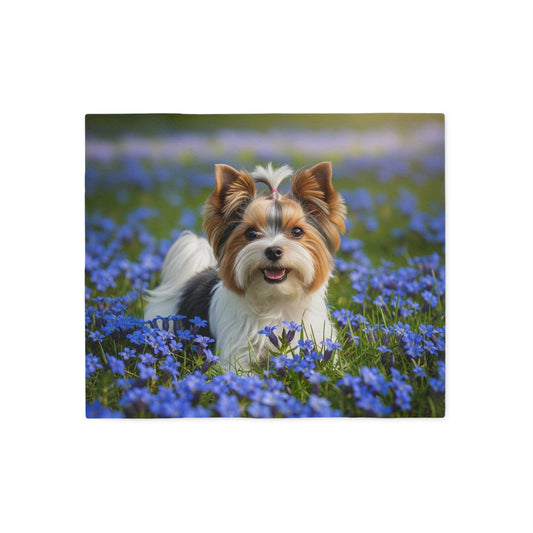 Biewer Terrier Sweatshirt Blanket
