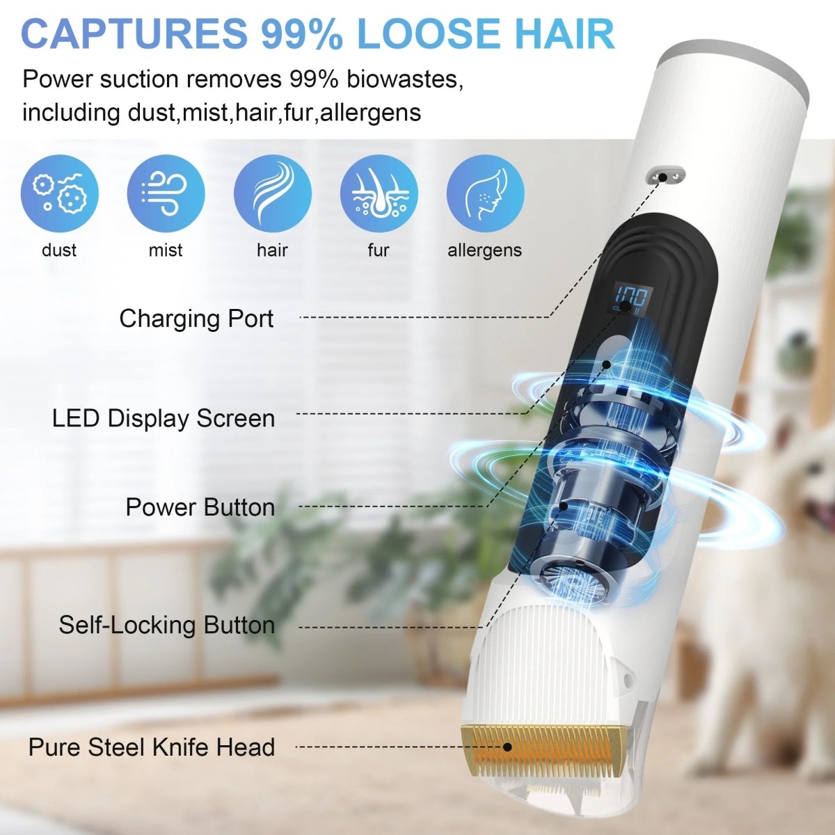 Kit de toilettage pour chiens avec aspirateur intégré de 14 kPa et 2,5 L pour poils d'animaux.