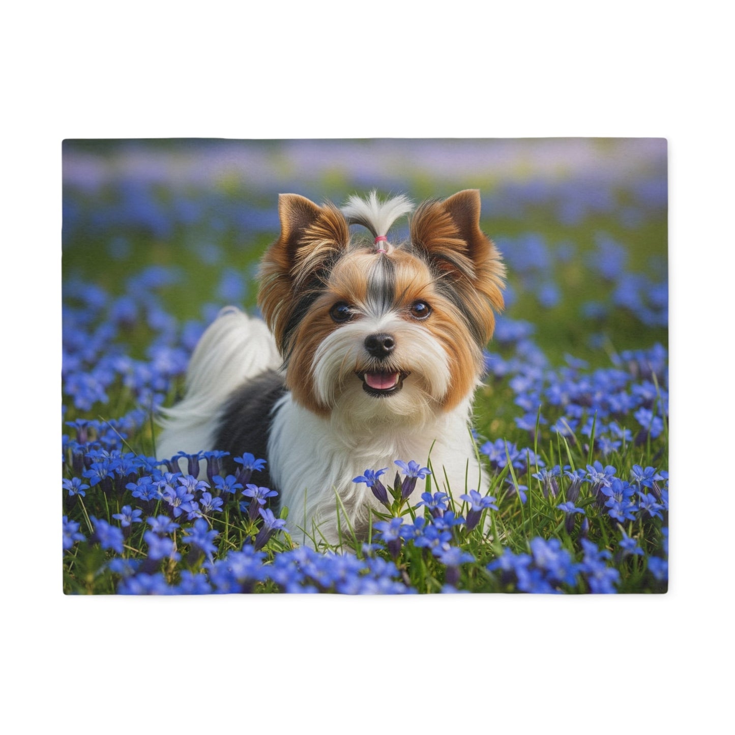 Biewer Terrier Sweatshirt Blanket