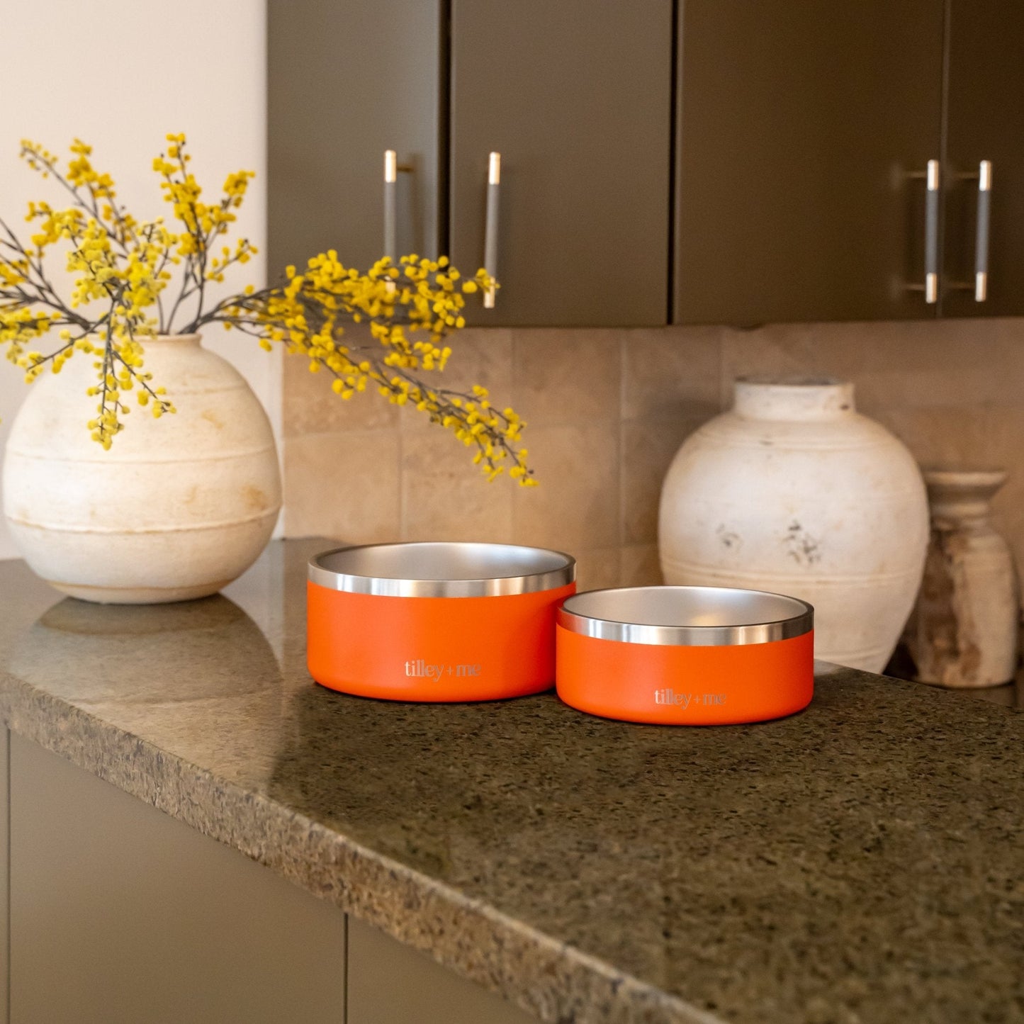 Gamelle pour animaux Tilley + Me en acier inoxydable – Antidérapante, durable et compatible lave-vaisselle | 946 ml et 1,9 L