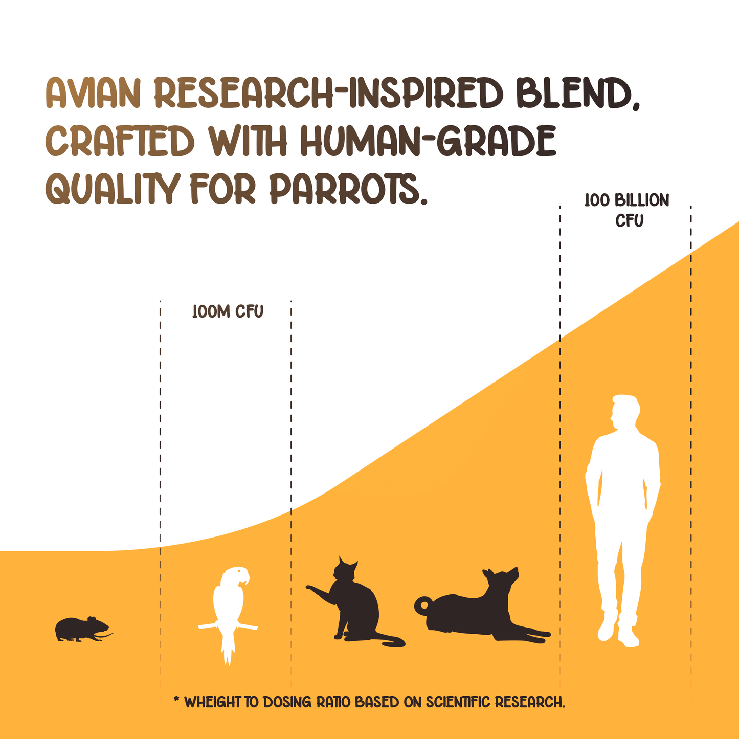 Pre+Pro+Post Biotics Blend for Parrots - 1.06oz