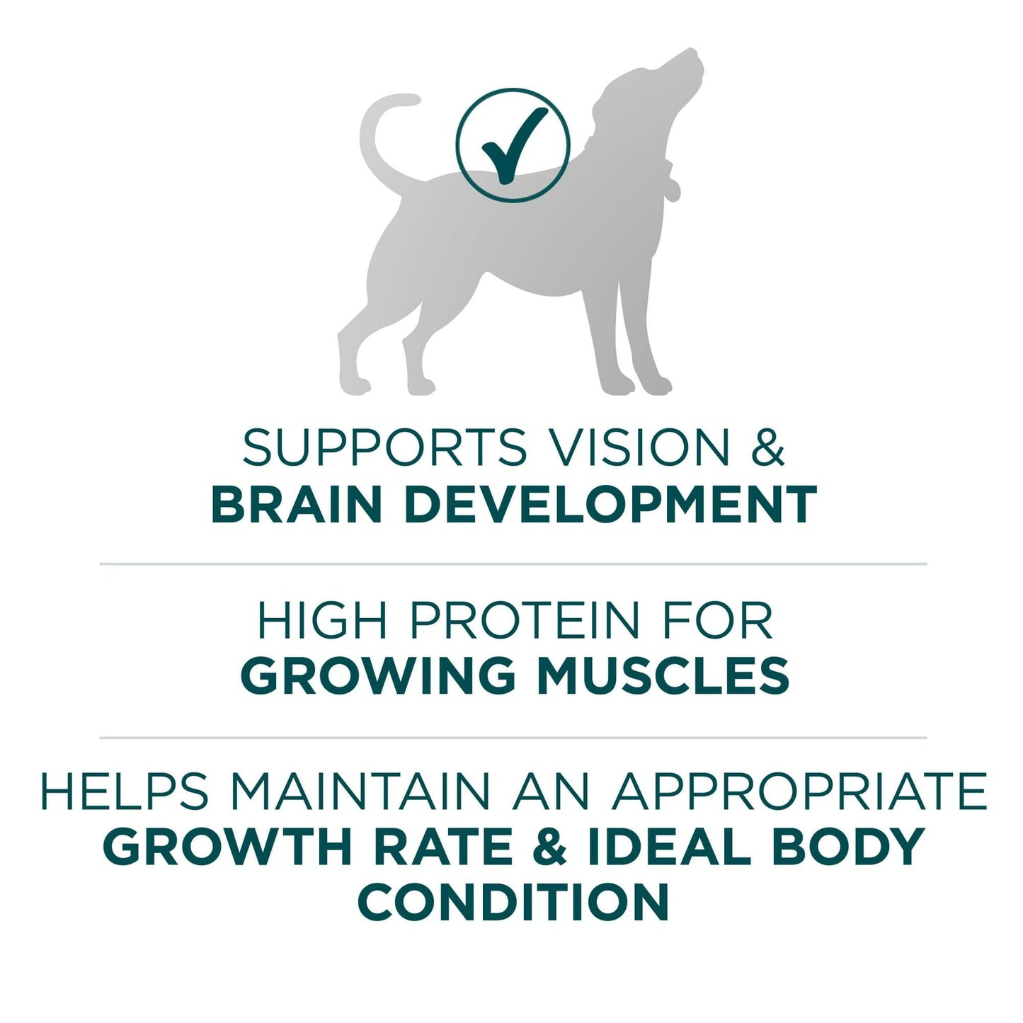 Purina ONE Plus Formule sèche pour chiots de grande race