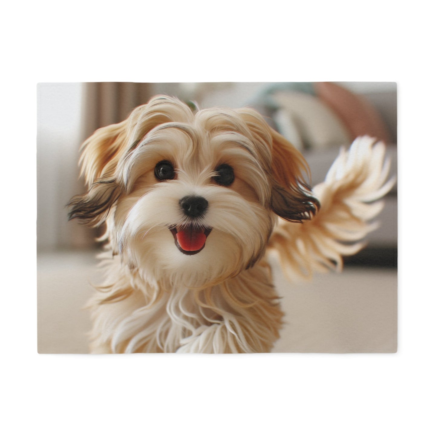 Morkie Sweatshirt Blanket