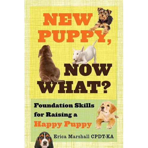 New Puppy, Now What? Foundation Skills for Raising a Happy Puppy