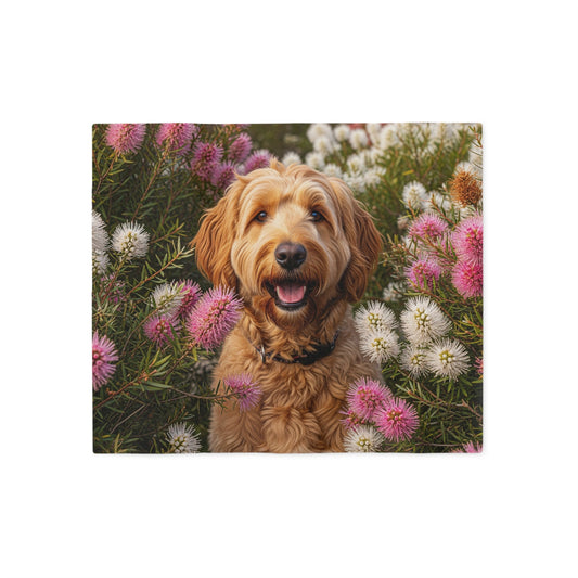Goldendoodle Sweatshirt Blanket