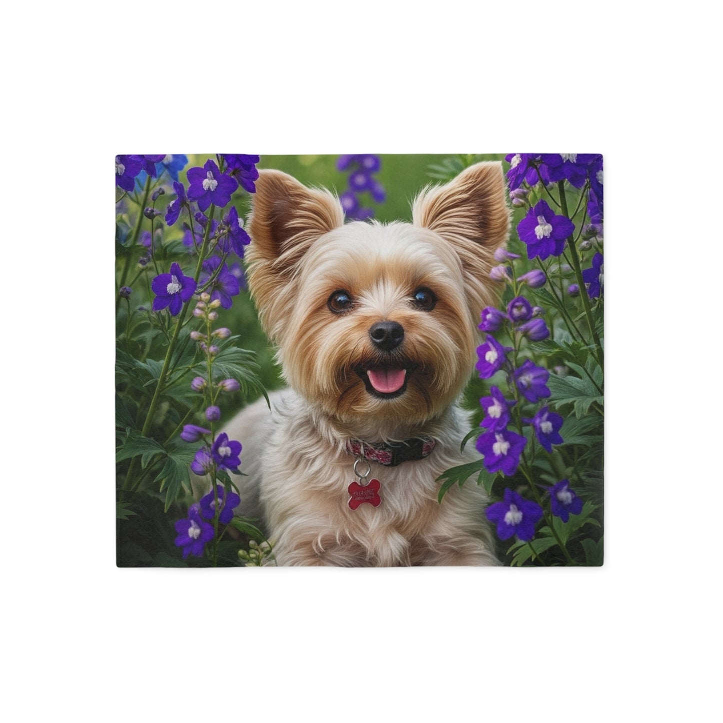 Yorkiepoo Sweatshirt Blanket