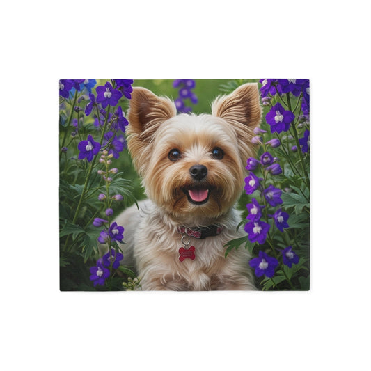 Yorkiepoo Sweatshirt Blanket