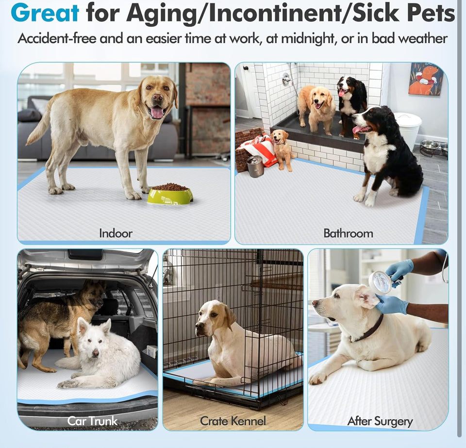 Almohadillas absorbentes Gimars 4XL 36x36 para perros, tamaño extragrande (200 unidades), gruesas y extraabsorbentes, para entrenamiento de mascotas, de secado rápido, a prueba de fugas, tamaño jumbo desechable.