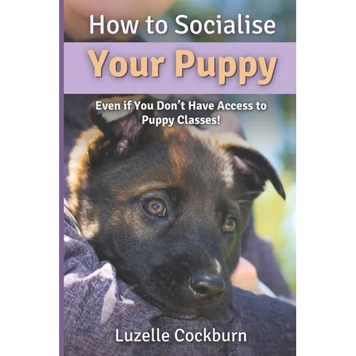 How to Socialise Your Puppy: Even if you don't have access to puppy classes!