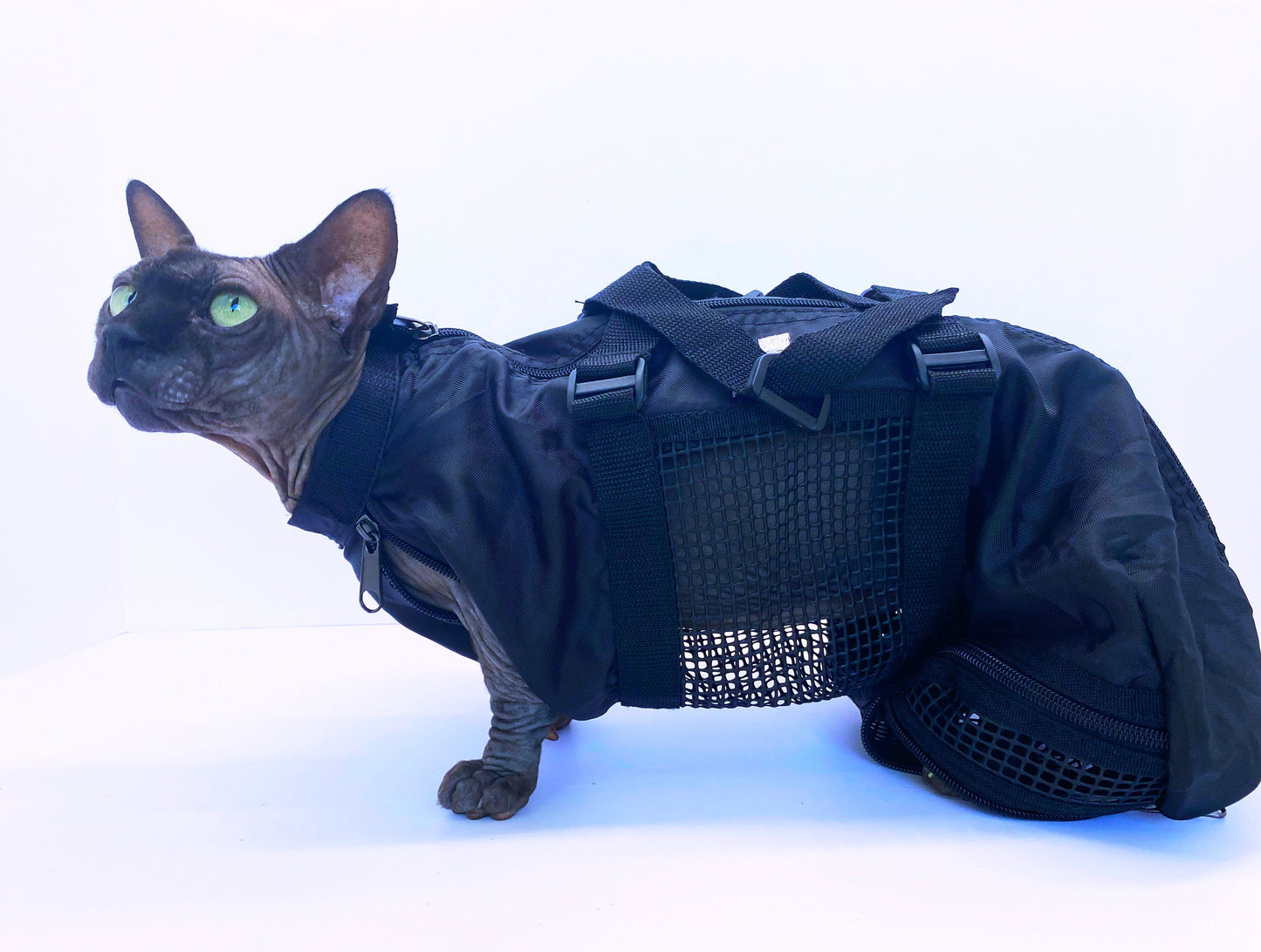 CAT/SMALL DOG GROOMING BAG