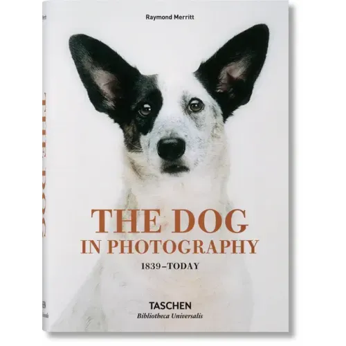 The Dog in Photography 1839-Today