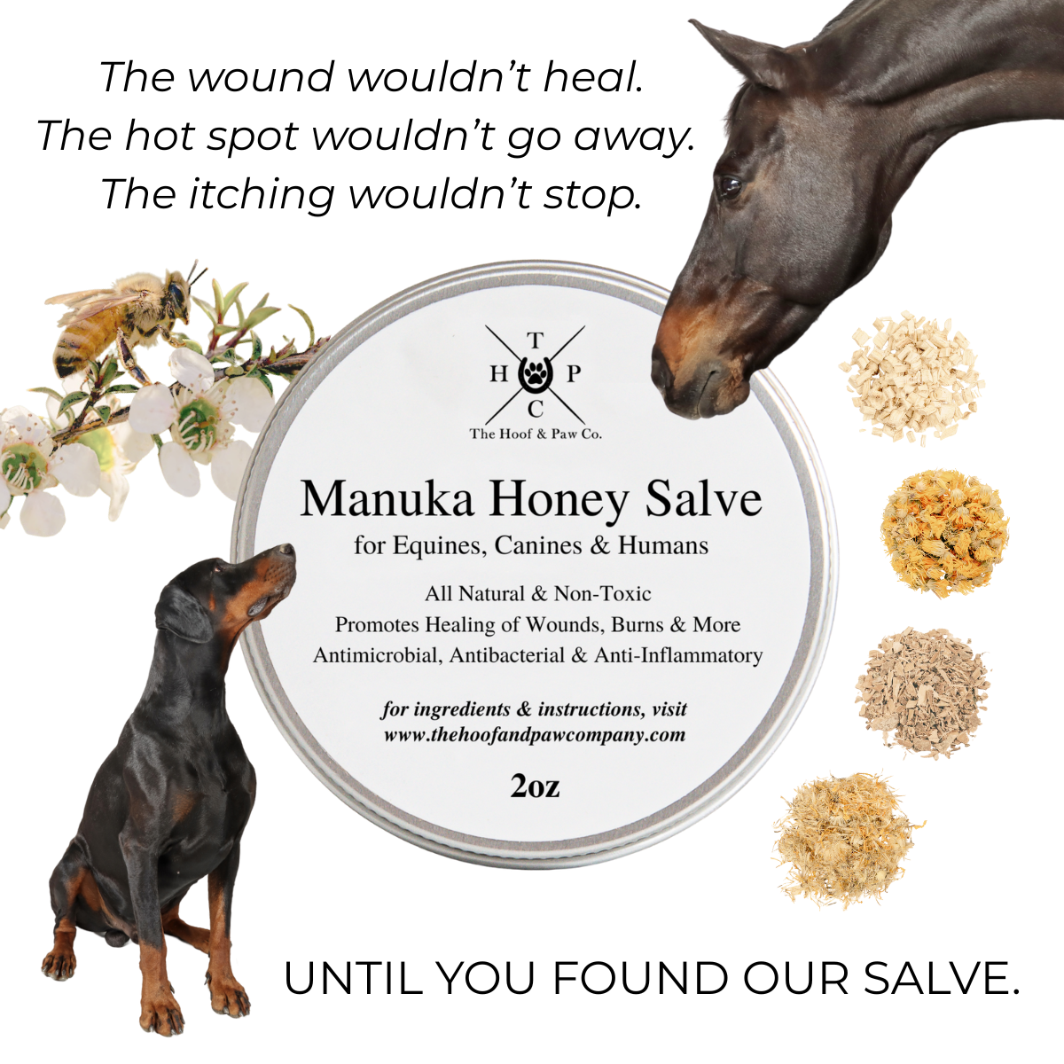 Baume au miel de manuka pour chiens, chevaux et humains