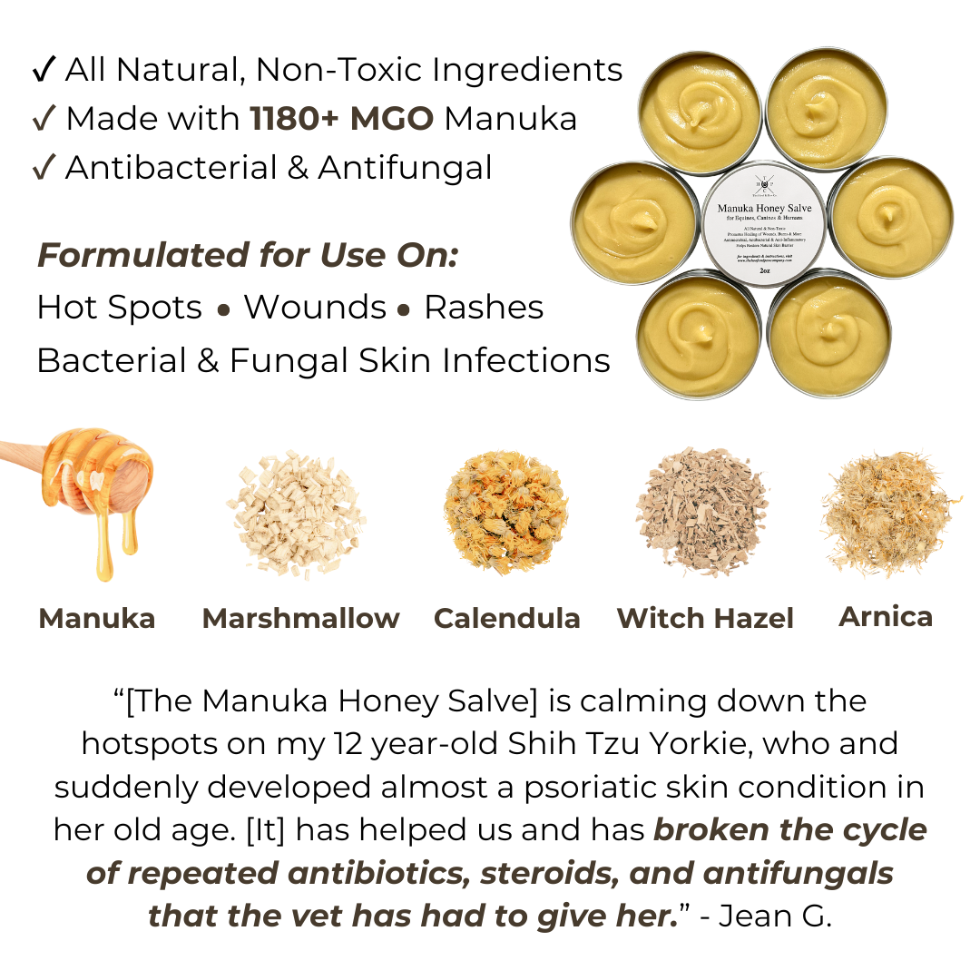 Baume au miel de manuka pour chiens, chevaux et humains