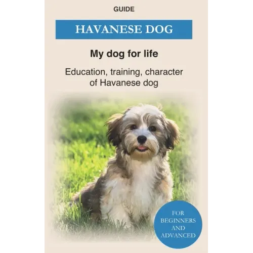 Havanese Dog: Education, training, character of Havanese Dogs - The Havanese Book