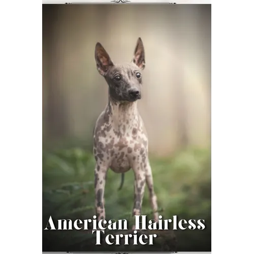 American Hairless Terrier: Dog breed overview and guide