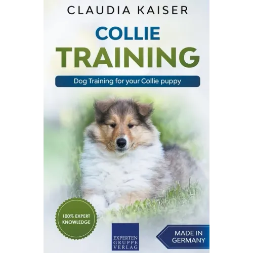 Collie Training - Dog Training for your Collie puppy
