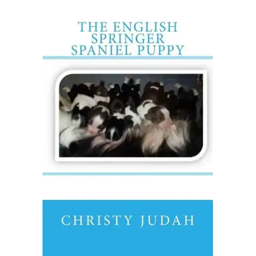 The English Springer Spaniel Puppy