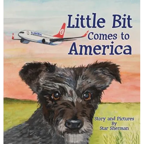 Little Bit Comes to America