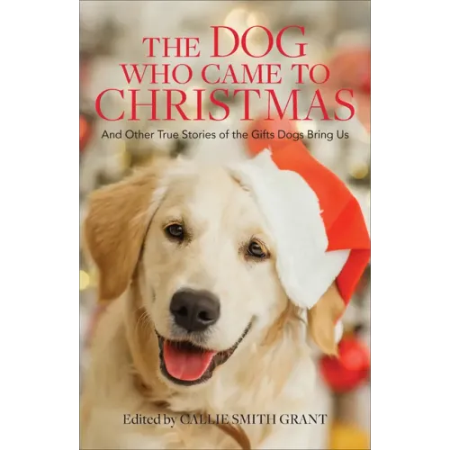 Dog Who Came to Christmas