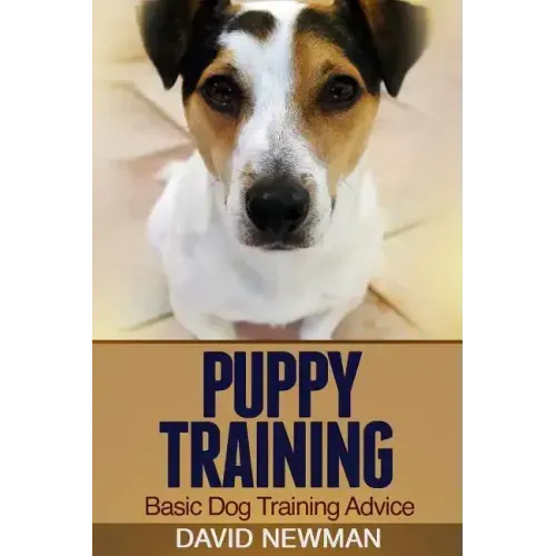 Puppy Training: Basic Dog Training Advice