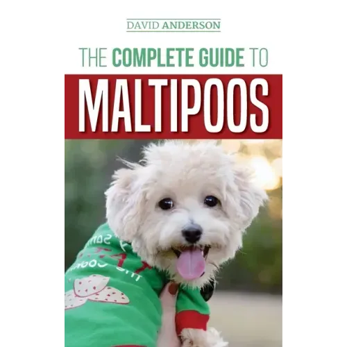 The Complete Guide to Maltipoos: Everything you need to know before getting your Maltipoo dog