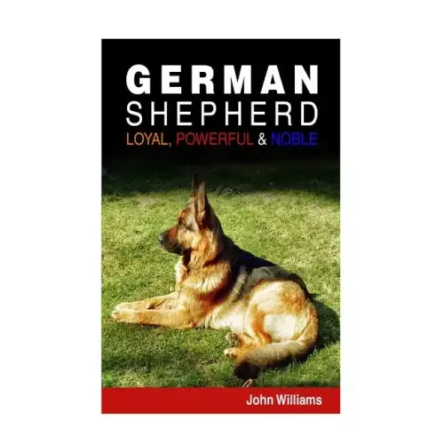 German Shepherd: Loyal, Powerful & Noble
