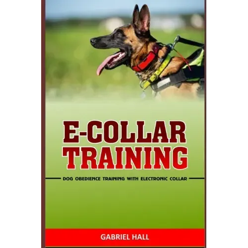 E-Collar Training: Dog Obedience Training With Electronic Collar