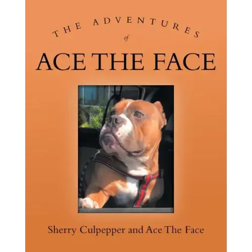 The Adventures of Ace The Face